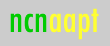 NCNAAPT